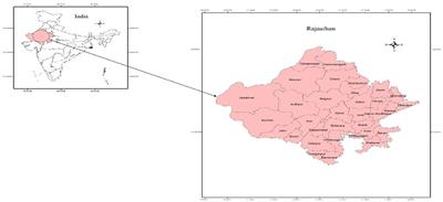 Measuring and Mapping Food Security Status of Rajasthan, India: A District-Level Analysis